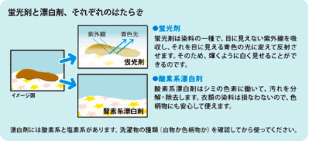 蛍光剤と漂白剤、それぞれのはたらき