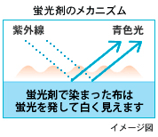 蛍光剤のメカニズム