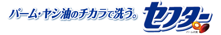 パームやし油のチカラで洗うセフターシリーズーヤシの実入り