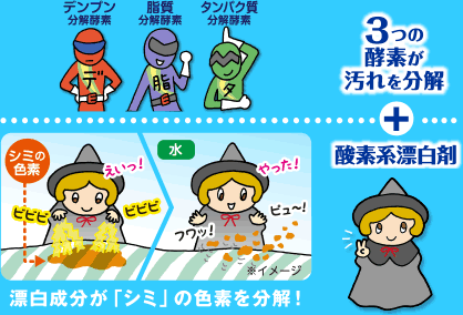 3つの酵素が汚れを分解＋酸素系漂白剤