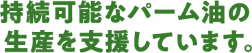 持続可能なパーム油の生産を支援しています。